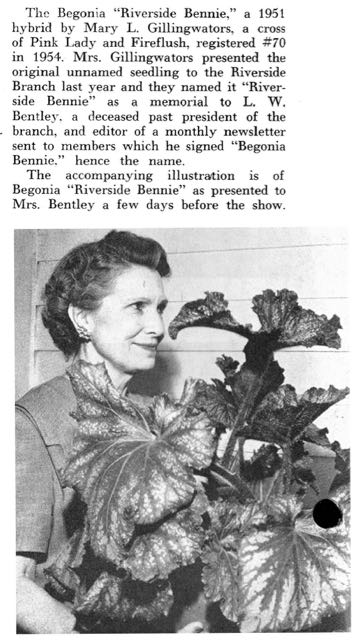 B. ‘Riverside Benny’